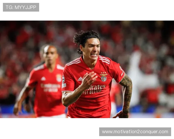 穆萨技术特点 穆萨技术特点